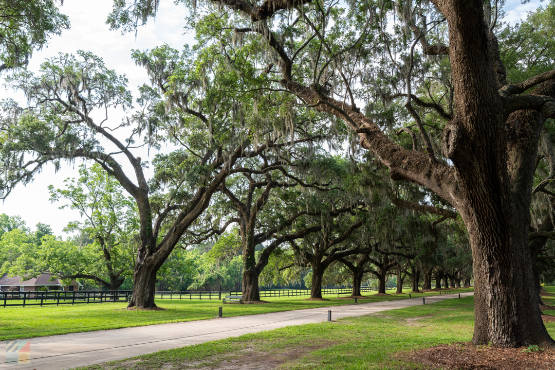 TBoone Hall Plantation, Mt. Pleasant, SC