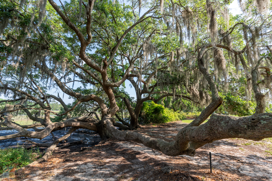 TBoone Hall Plantation, Mt. Pleasant, SC