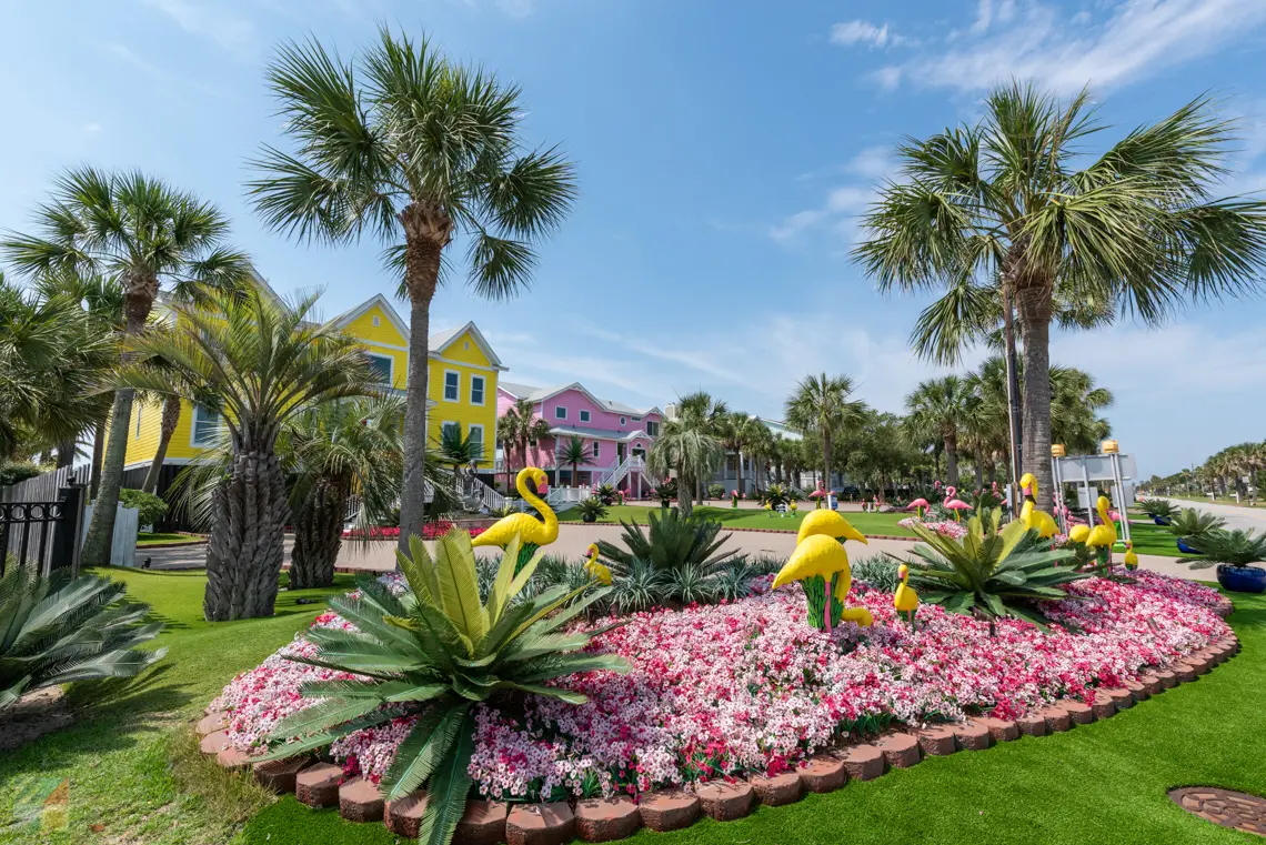 Link to IsleOfPalms.com