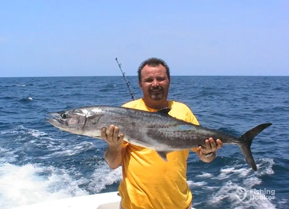 Chase-N-Fins Charters charter image 3