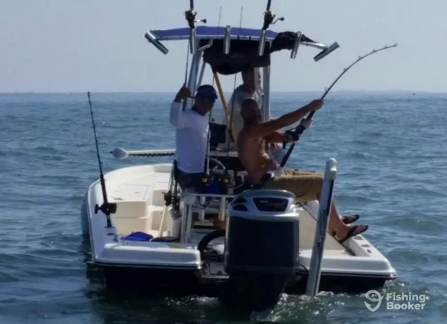 Inshore Fishing in Charleston SC charter image 3