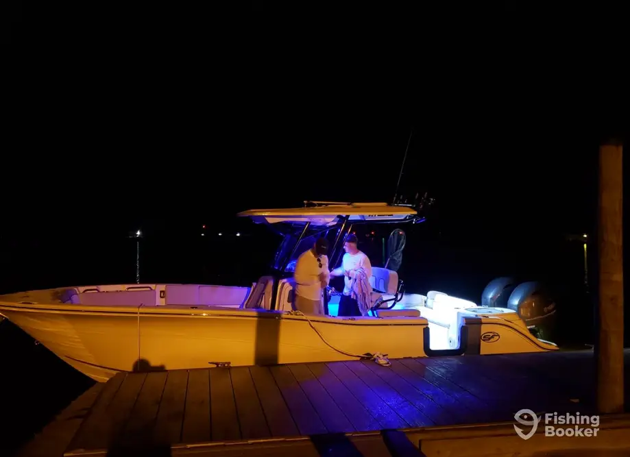 Chasing Tail Charters charter image 4