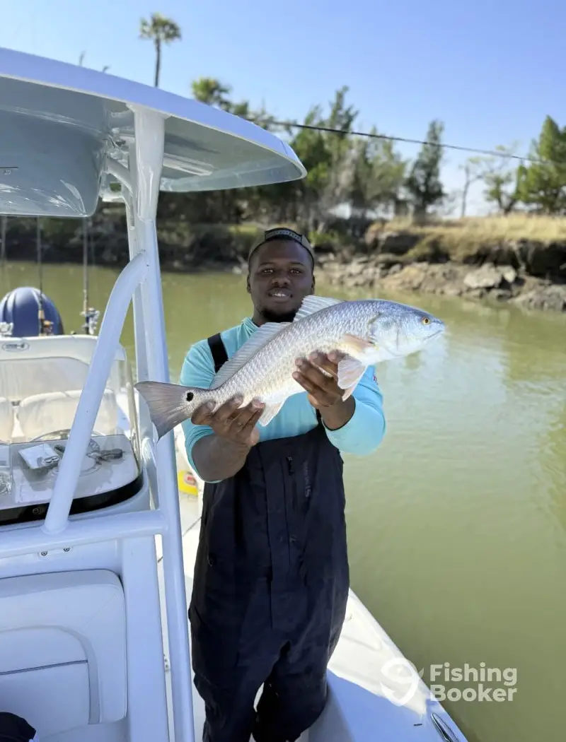 IllumiNauti Fishing Charters LLC charter image 2