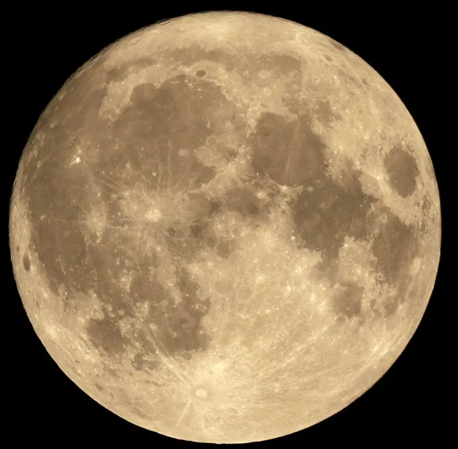 Park after dark/Full Moon Paddle in Congaree National Park