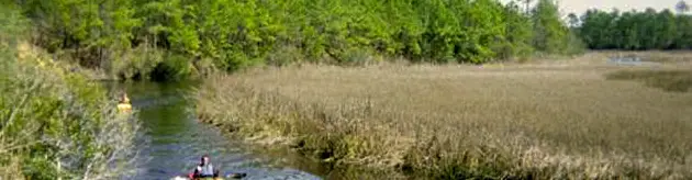 Awendaw Creek Paddle and Hike