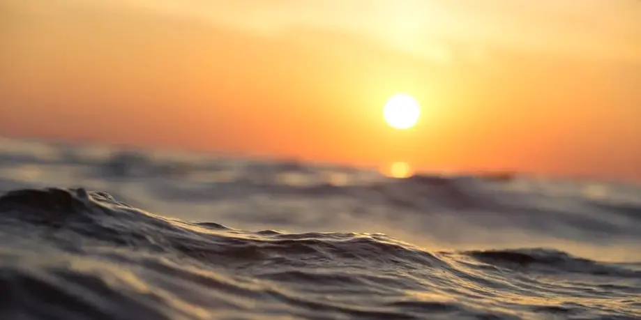 Harbor Sunset Cruise