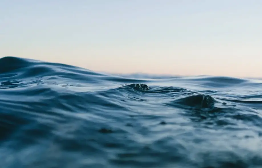 Shark-tooth Hunting/Intracoastal Waterway Expedition