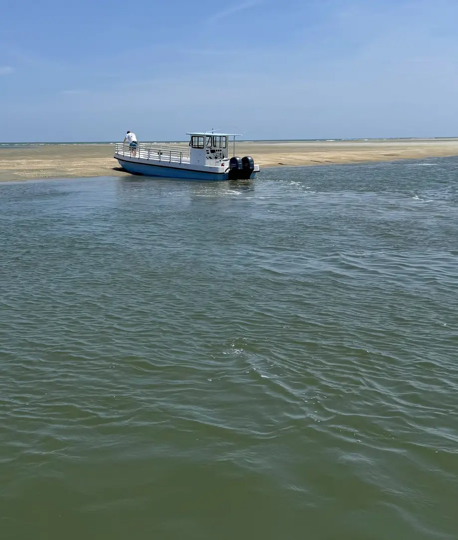 Charleston Harbor & Beach Escape