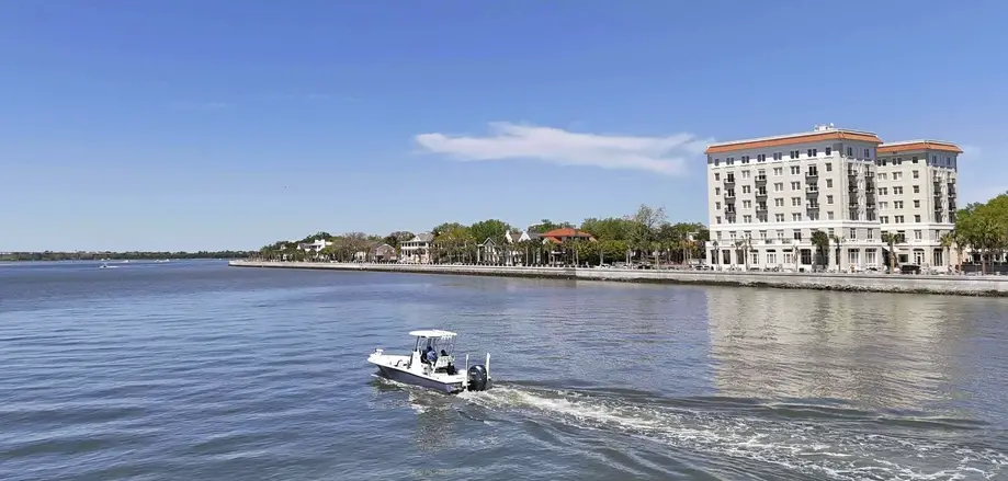 Shark Fishing Charter - 4 Hours